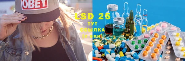 ECSTASY Липки