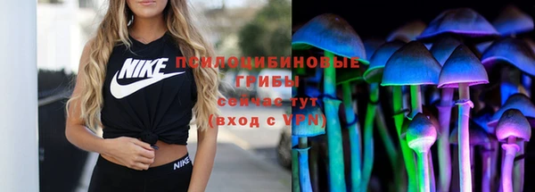 ECSTASY Липки