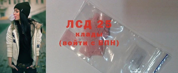 ECSTASY Липки