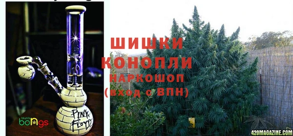 ECSTASY Липки