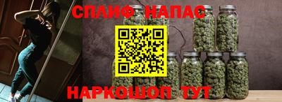 прущие крисы Гагарин