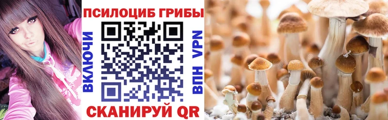 Псилоцибиновые грибы прущие грибы  blacksprut сайт  Бирск  как найти закладки 