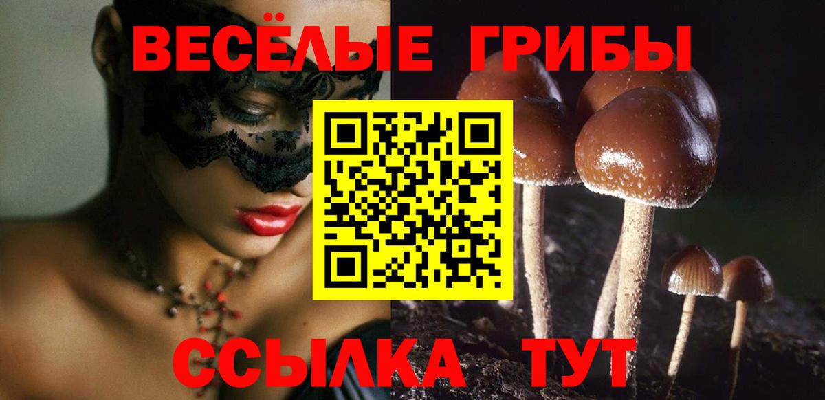 Галлюциногенные грибы мухоморы  Псилоцибиновые грибы ЛСД  Бирск  Вход с VPN 