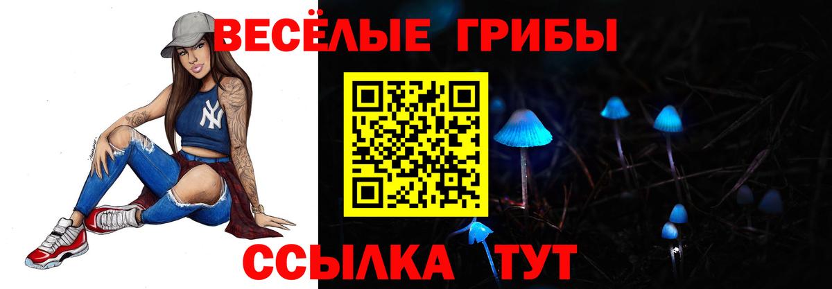 Псилоцибиновые грибы Psilocybe Бирск